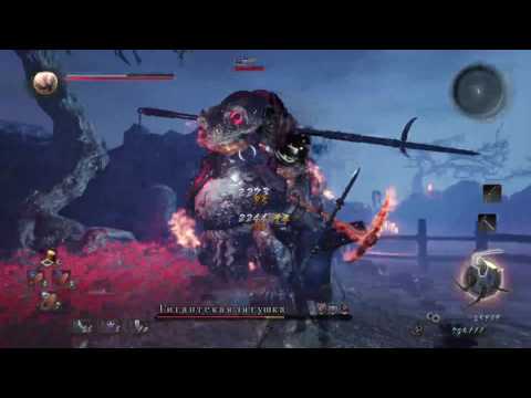 Rus/Eng PS4 Pro Nioh нг+