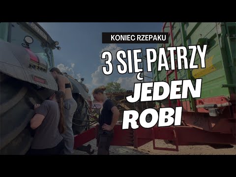 Kończymy kosić rzepak *GR Bajus* [09.07.2024]