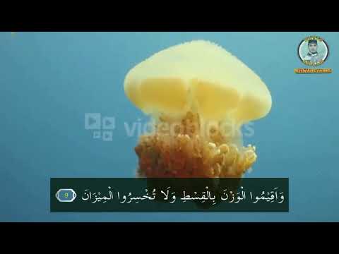 Maqam Jiharkah / Ajam 261 - Surah Ar Rahman - Ustadz Muhammad Ikhwani