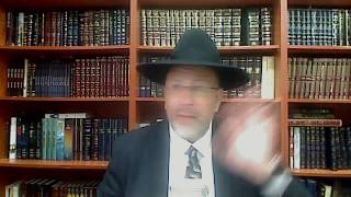 La lumiere du Rabbi sur la Parashat Houkat