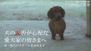 悪の教典みたいな映画ないんか? mqdefault - 悪の教典みたいな映画ないんか?