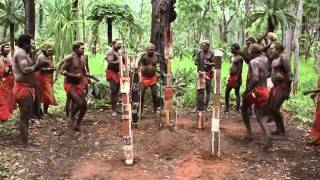 "The Field - A Paw in My Face" : Push It To The Limit