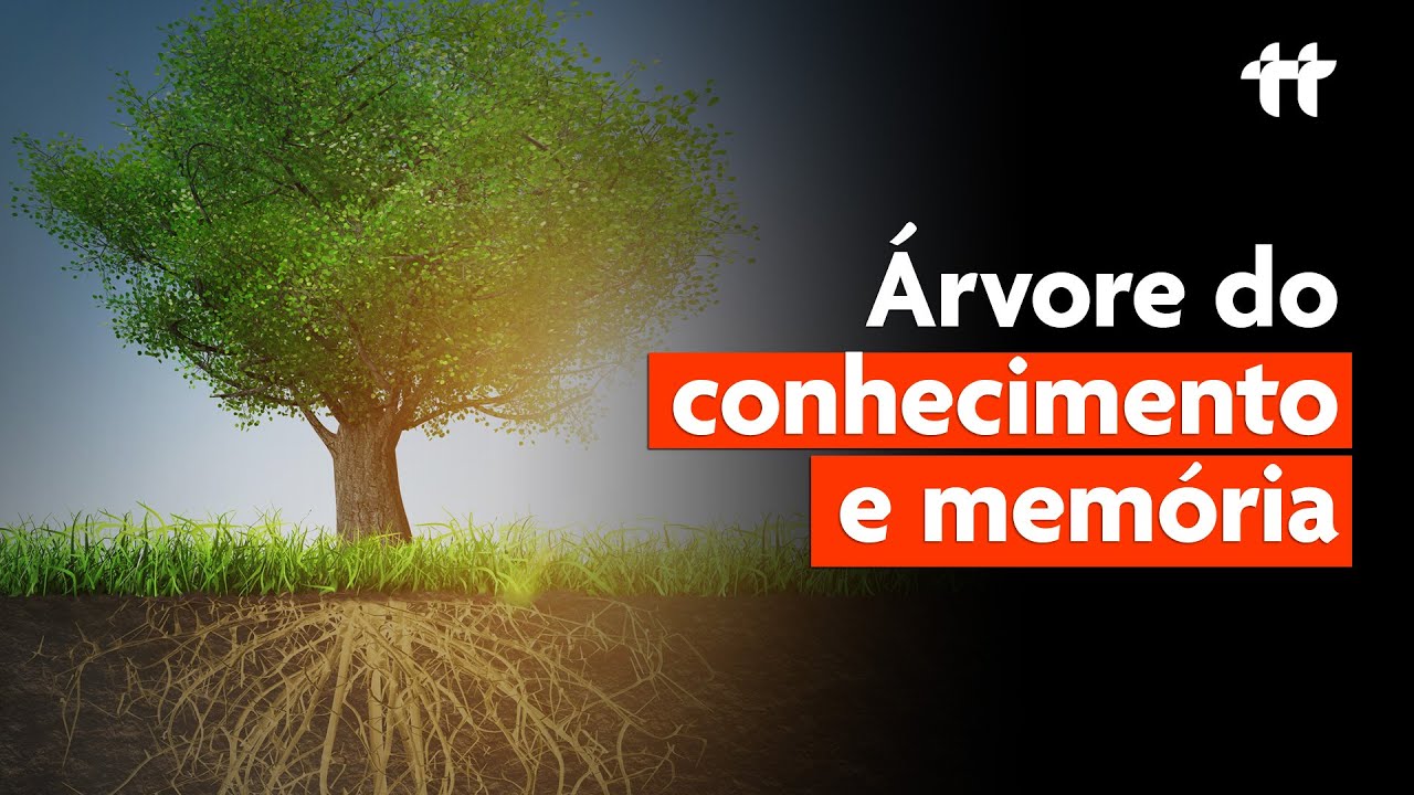 A árvore do CONHECIMENTO e a identidade do saber