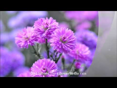 FLOWER IN THE RAIN by Jaci Velasquez (with lyrics)