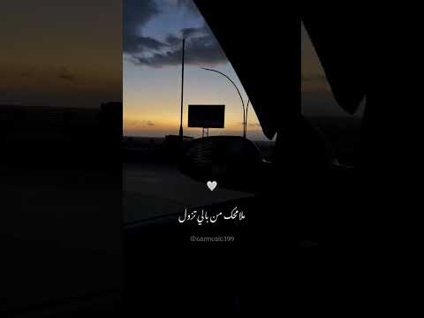 بتمنى تزول ملامحك من بالي تزول بتمنى انساك شيرين عبدالوهاب ️