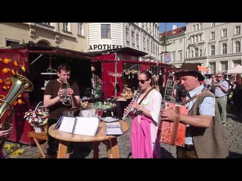 Zwerndorfer Tanzlmusi: An Schindl Schneider Seppn seiner