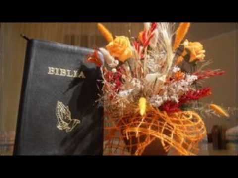 Florin Pal- Am adormit