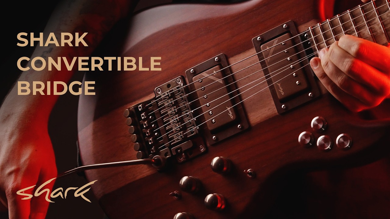 Shark Convertible Bridge video