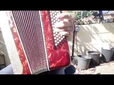 60  Bass Piano Accordion . (  PIANO  ACCORDION  CHAT  )