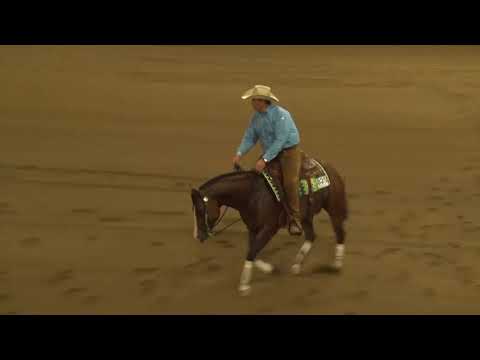 Sam Schaffhauser - The Last Smoking Gun - 2017 Buckeye Open Futurity