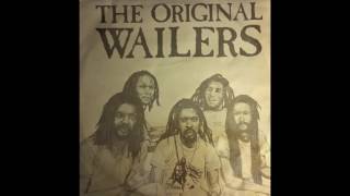 The Wailers &quot;PETER TOSH&quot; : Nice Time