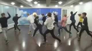 EXO   WOLF Practice full version