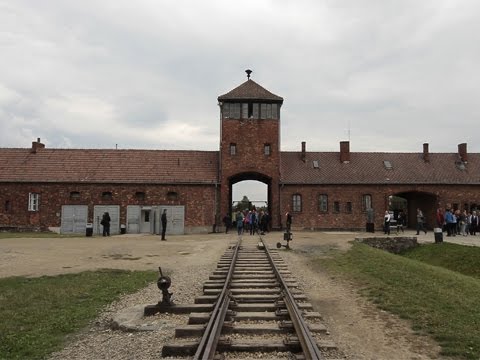 27 січня – Міжнародний день пам'яті жертв Голокосту