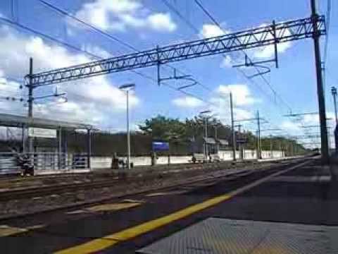 Maurizio Zulani - Torricola  444r IC Plus