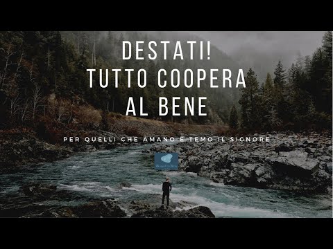 DESTATI! TUTTO COOPERA AL BENE! | Meditazione del Pastore Luigi Abbruzzese || BlessedtoBless