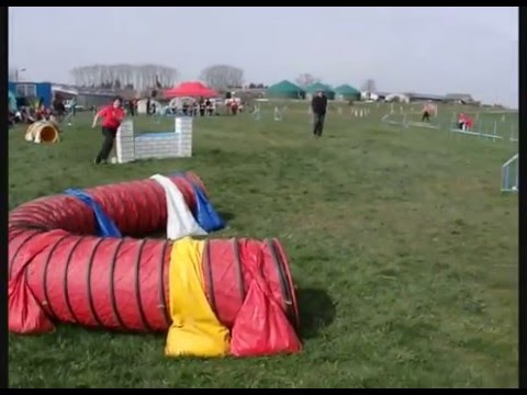 Turnier HSV Schönstedt - 03.04.2016 - Jumping 3 - Mailo