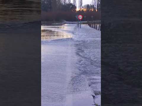 Con carretera inundada: Miles de héctareas bajo el agua en Carahue