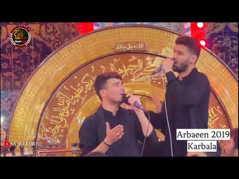 Kiya Muhammad Ka Pyara Nahi Hun Ali Shanawar & Ali Jee || SS Azadari