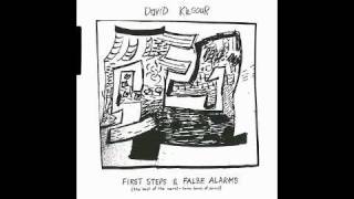 David Kilgour "Pop Song"