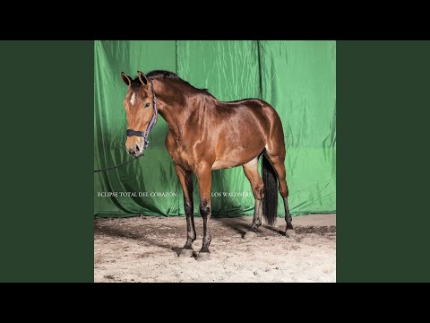 LA MOTO - Los Waldners | QTABs | Letras, Acordes y Tablaturas