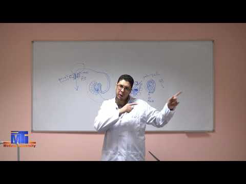 MED Level2 URO222 Practical Pathology Diseases of Male Genital System  24 2 2021