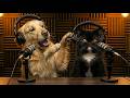 If You Ever Wondered What A Dogs Nightmare Looks Like Watch This