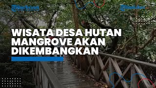 Jadi Perhatian Pemerintah Pusat, Wisata Desa Hutan Mangrove Ardi Mulyo Bulungan akan Dikembangkan