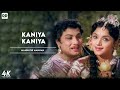 Kaniya Kaniya Official Video Song MGR Mannathi Mannan Mgrsong