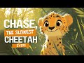 Chase The Slowest Cheetah Ever Bedtime Stories For Kids