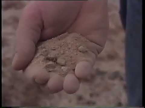 32 1992 De wereld van Boudewijn Buch   Christmas Island