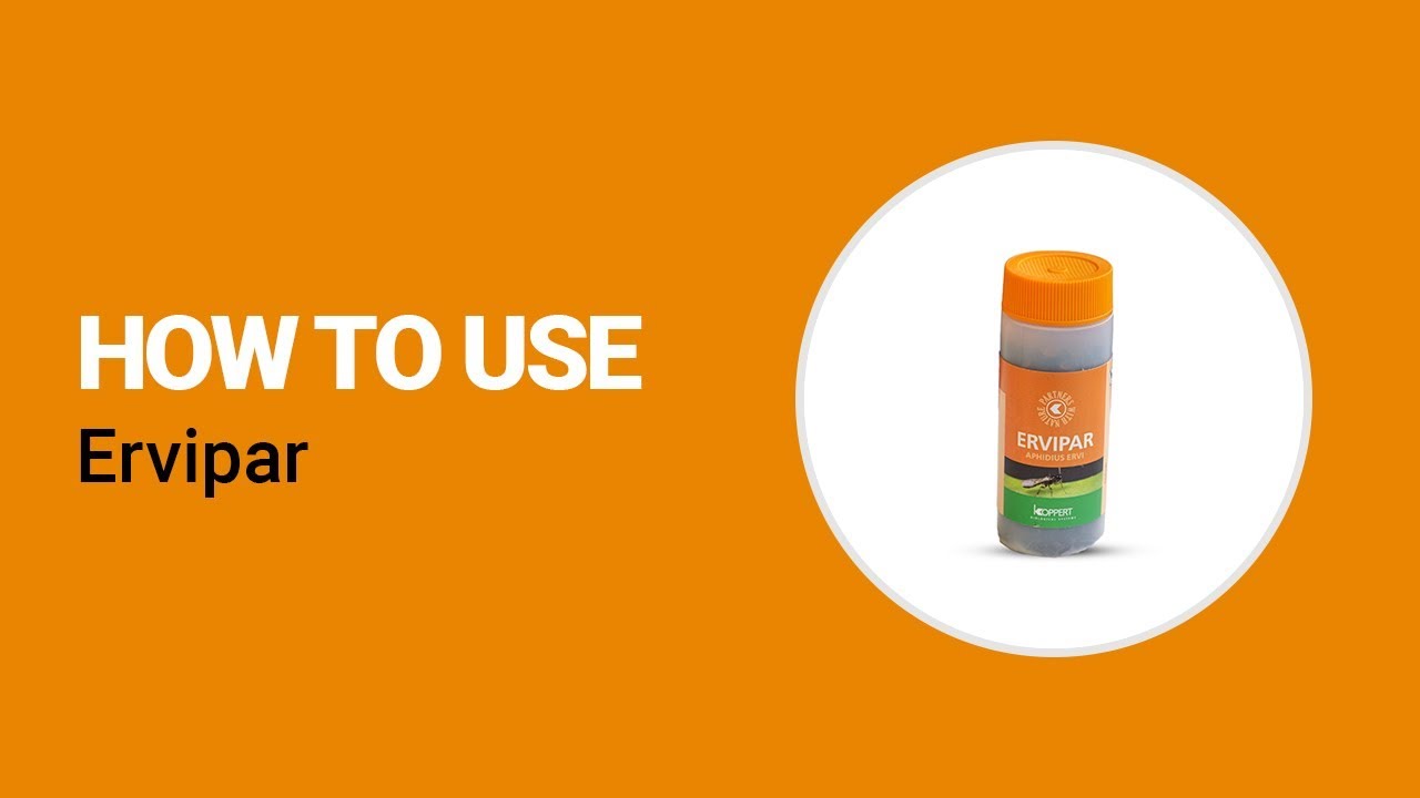 Video preview poster