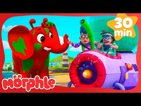 Morphle Gets Slimed | Morphle | Cars, Trucks & Vehicles Cartoon | Moonbug Kids