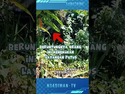 BERUNTUNGNYA ORANG INI MENEMUKAN SESUATU DI SEMAK-SEMAK #viralvideo #shortsvideo #trending #layangan