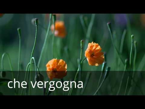 Il video più brutto del mondo