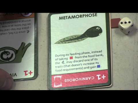 Dice Tower Reviews: Evolution: Time to Fly