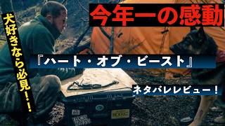 【今年1番の感動映画、心温まりたい方必見映画！】犬との絆を描く新作映画『ハート・オブ・ビースト』ネタバレレビュー！！！