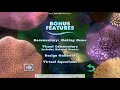 Finding Nemo 2003 DVD Menu Walkthrough Disc 1
