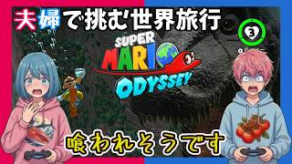 【Switch】【夫婦実況】恐竜に翻弄される毎日「スーパーマリオ オデッセイ」【アクション】#8