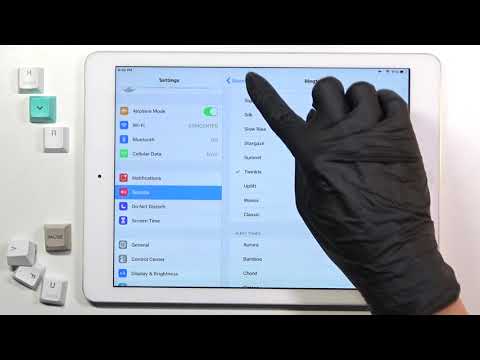 How to Change Ringtone in iPad Air 1st Gen – Find Default Ringtones