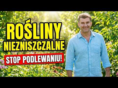 Jak Mieć Piękny Ogród Bez Wysiłku? Moje Odkrycia na 2026 rok