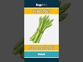 asparagus - a green vegetable with long,... video thumbnail