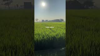 Download lagu sawah  #sragen24jam #storywa #sragenkita #fypシ゚ #quotes #sragen mp3