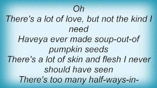 Devendra Banhart - Pumpkin Seeds Lyrics