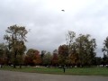 Art Rex Flying A Kite At Juanita Beach In Kirkland WA