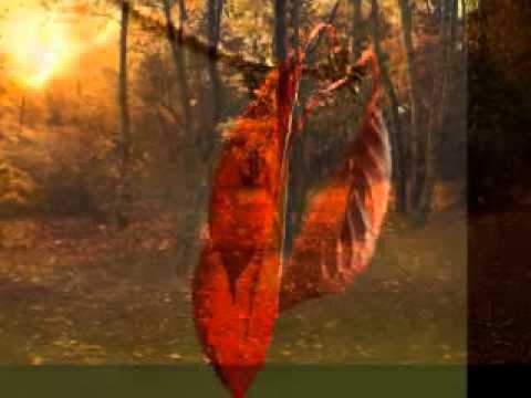 Wabi Daněk - Píseň, co mě učil listopad