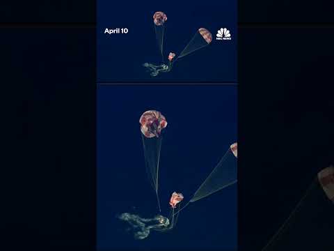 Artemis II astronauts splash down in the Pacific Ocean, concluding mission