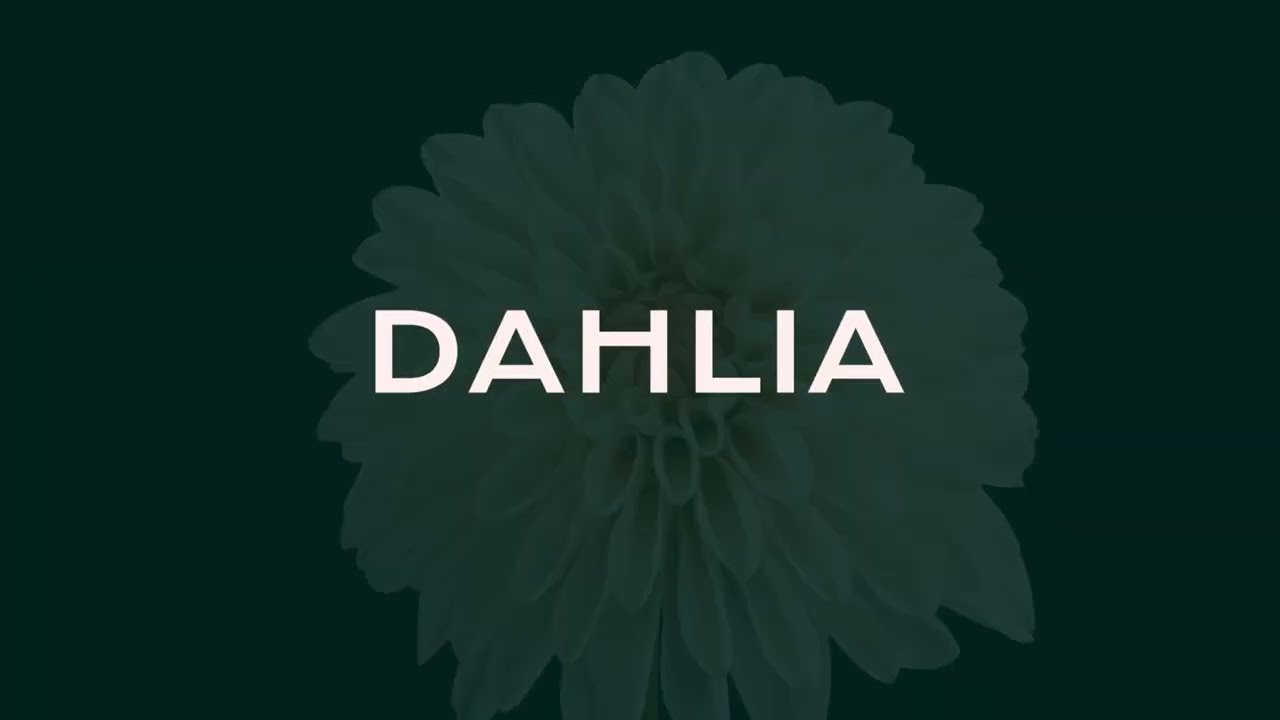 Raquel Rueda Tomás-3