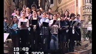 SchOK - Je klid a mír (Život před narozením 2004)