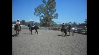 preview picture of video 'Tri de bétail pour le Country Pony Ranch'