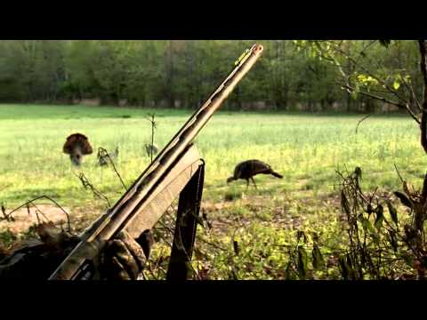 Whitetail Institute Turkey Hunt - Zink Calls Turkey...